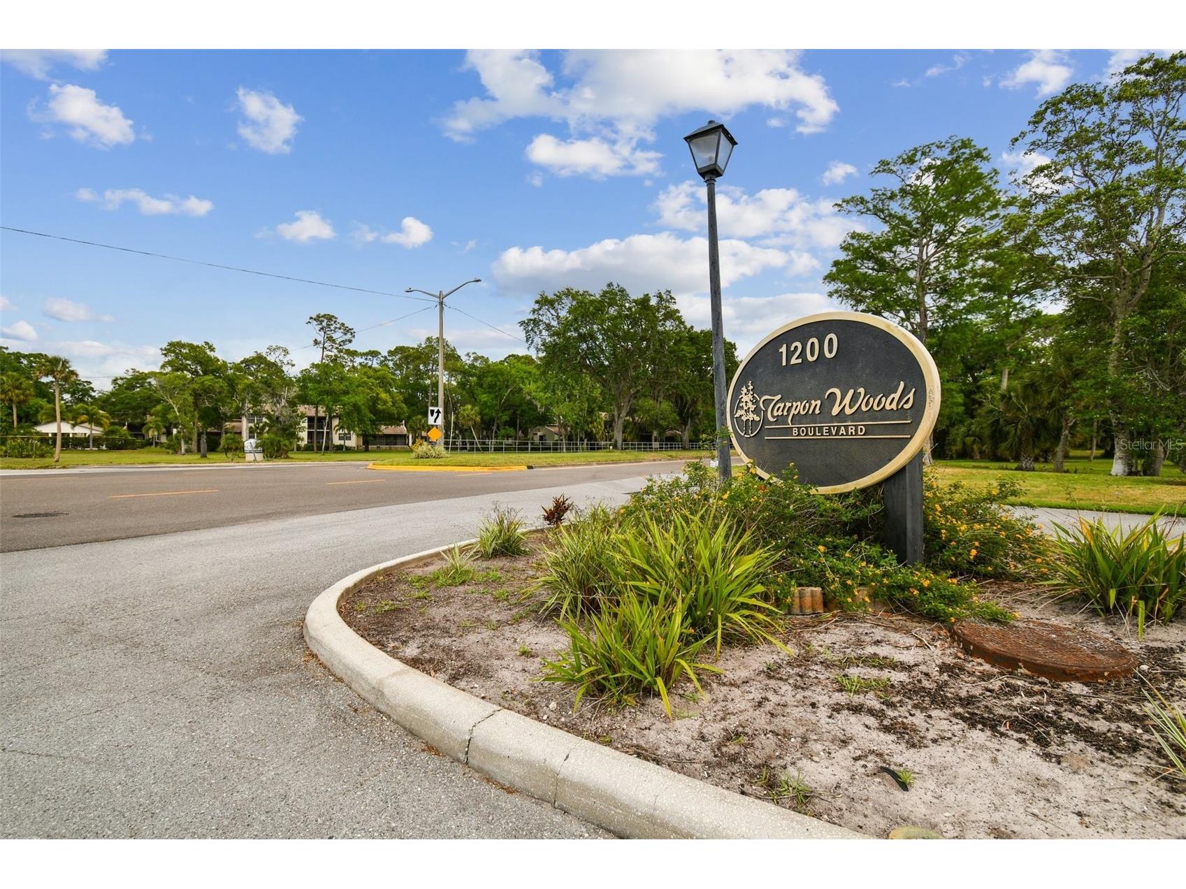 3505 Tarpon Woods Boulevard #P404 Palm Harbor FL 34685 TB8499496 image57