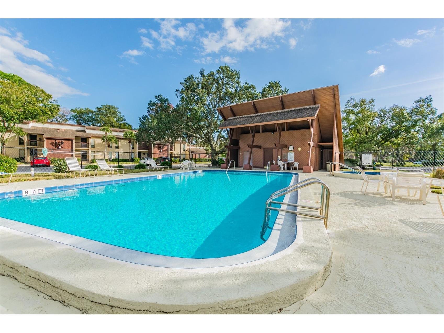 3505 Tarpon Woods Boulevard #P404 Palm Harbor FL 34685 TB8499496 image60