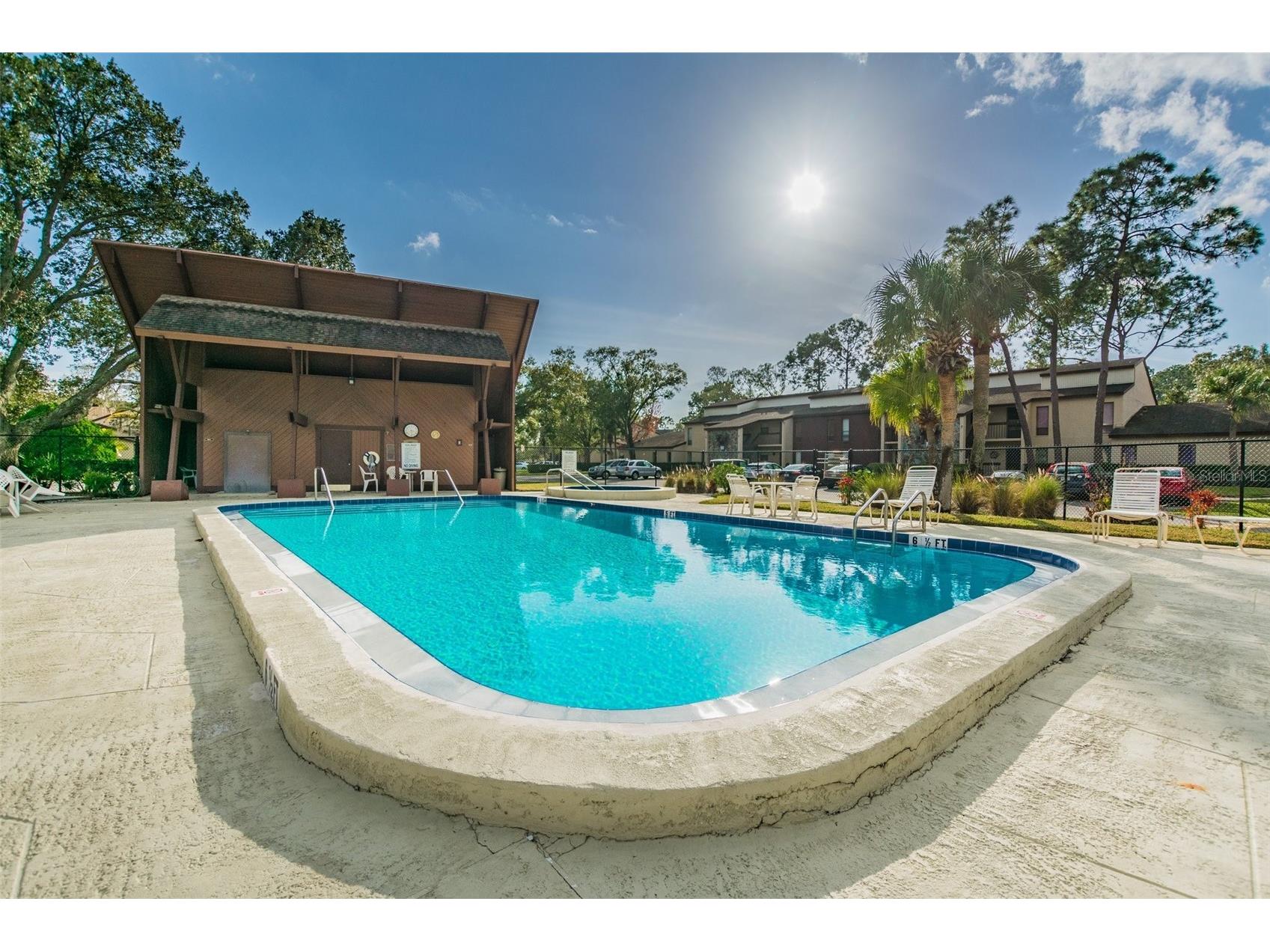 3505 Tarpon Woods Boulevard #P404 Palm Harbor FL 34685 TB8499496 image61