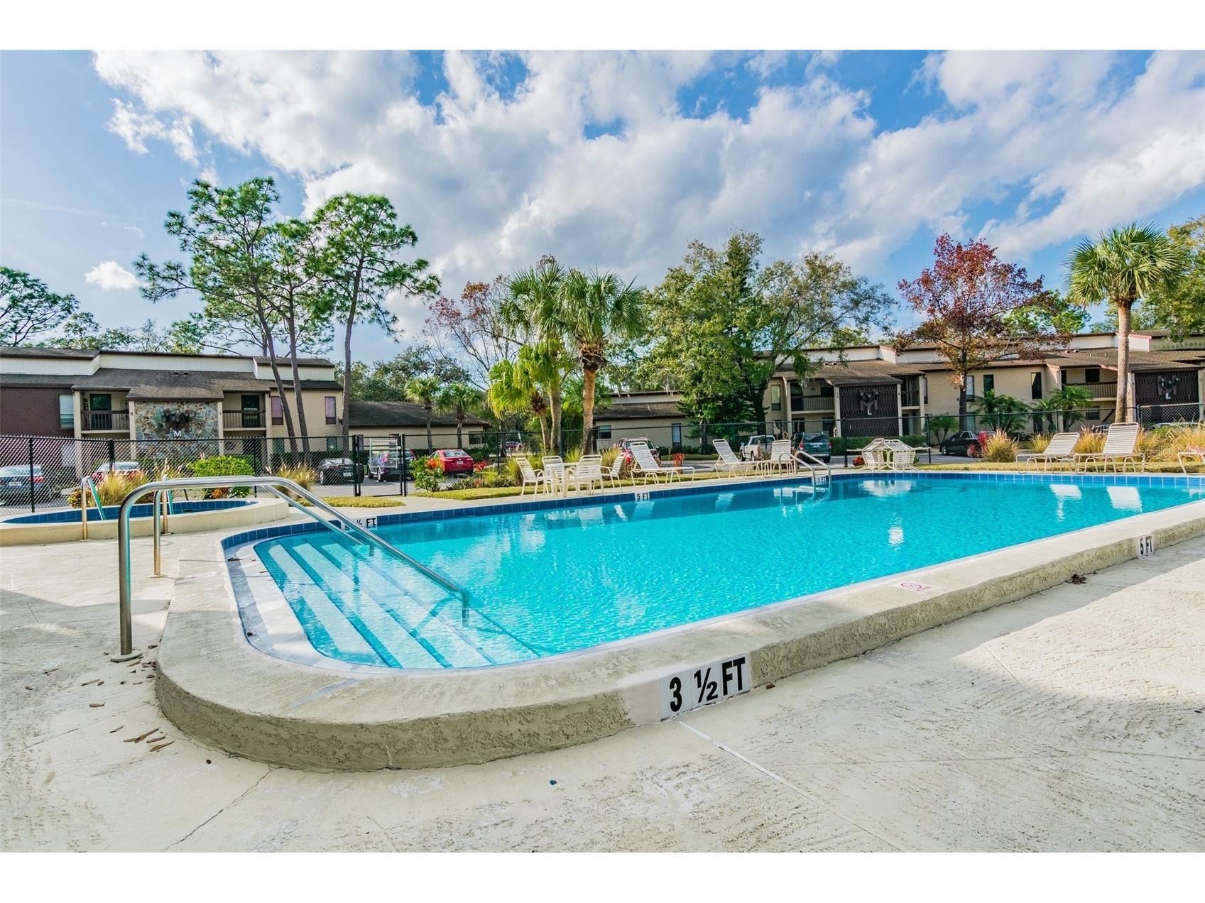 3505 Tarpon Woods Boulevard #P404 Palm Harbor FL 34685 TB8499496 image62