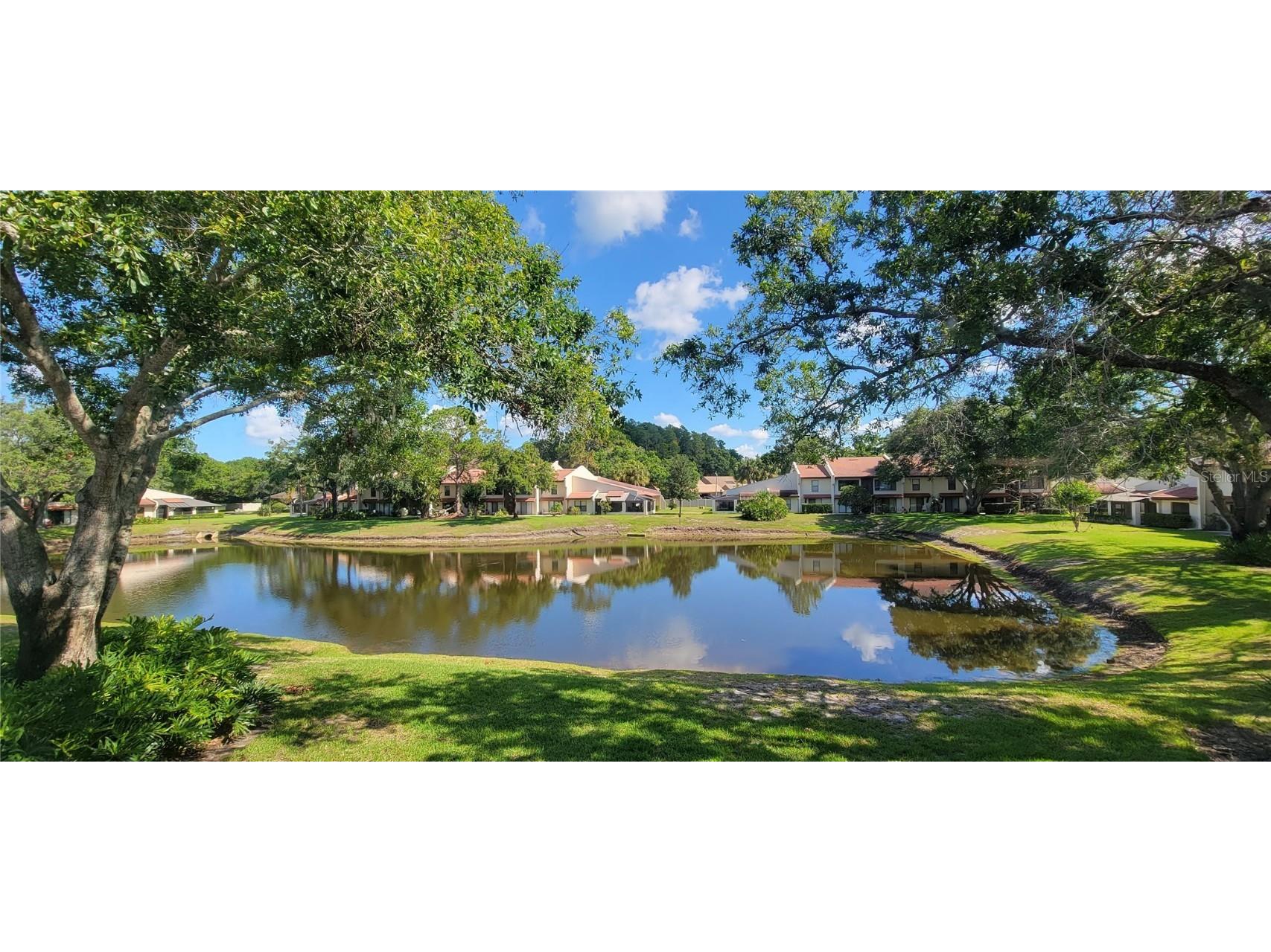 3505 Tarpon Woods Boulevard #P408 Palm Harbor FL 34685 TB8383323 image1