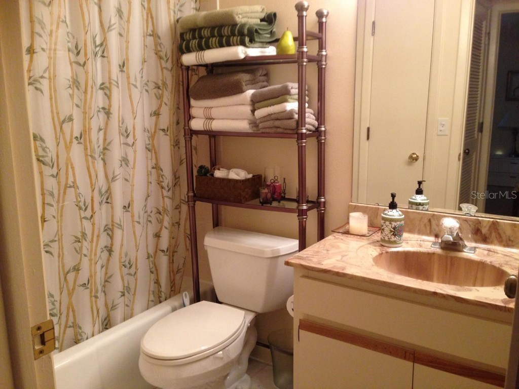 3505 Tarpon Woods Boulevard #P408 Palm Harbor FL 34685 TB8383323 image18