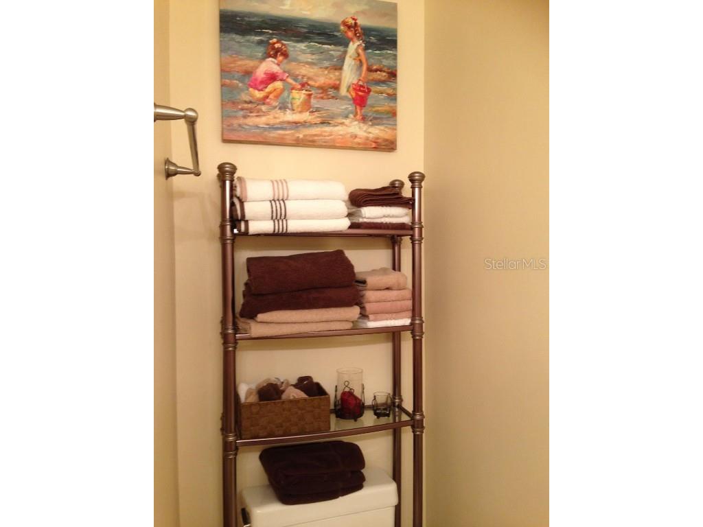 3505 Tarpon Woods Boulevard #P408 Palm Harbor FL 34685 TB8383323 image21