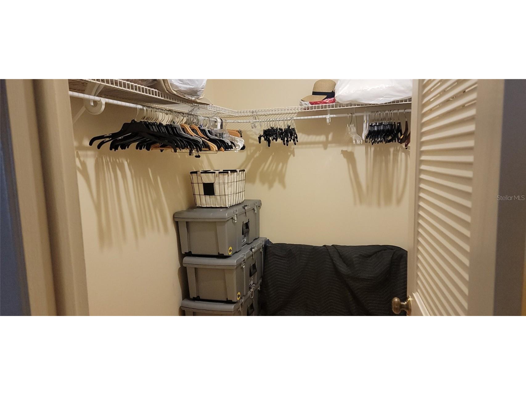 3505 Tarpon Woods Boulevard #P408 Palm Harbor FL 34685 TB8383323 image22