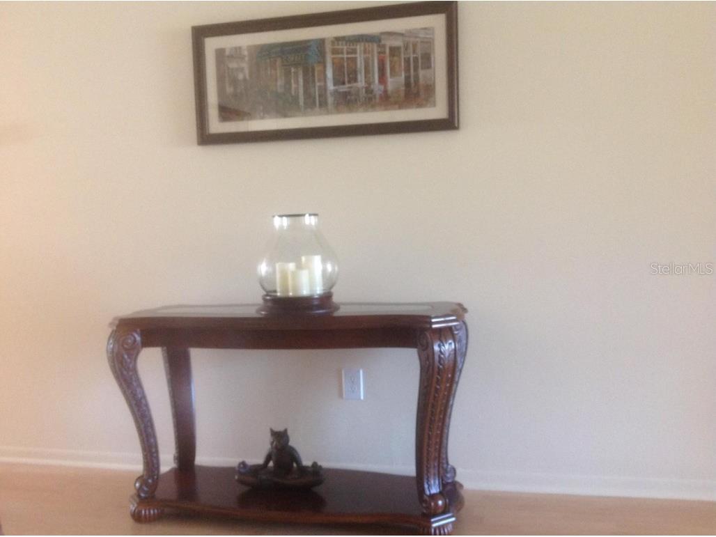 3505 Tarpon Woods Boulevard #P408 Palm Harbor FL 34685 TB8383323 image29