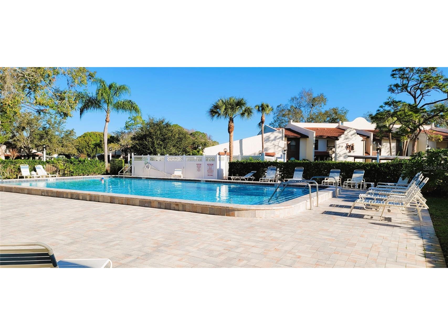 3505 Tarpon Woods Boulevard #P408 Palm Harbor FL 34685 TB8383323 image30