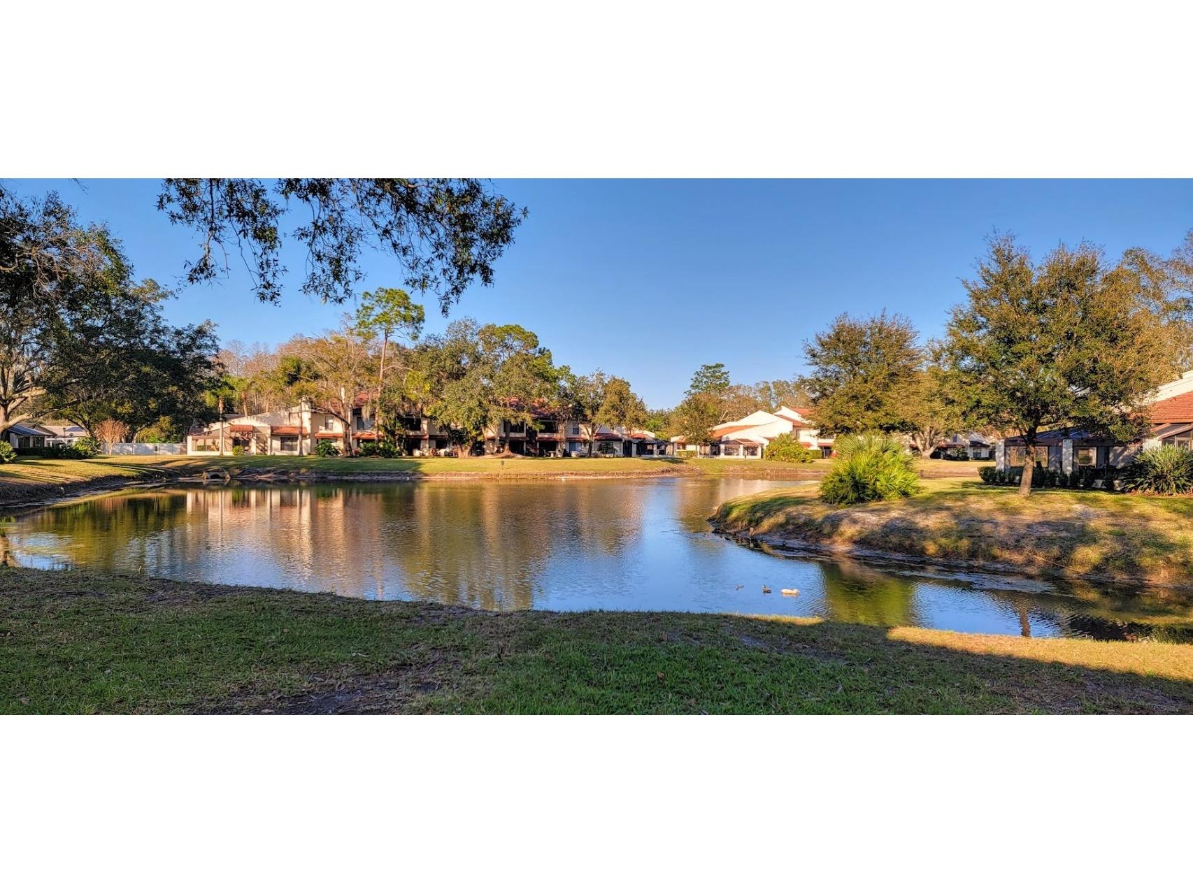 3505 Tarpon Woods Boulevard #P408 Palm Harbor FL 34685 TB8437255 image1