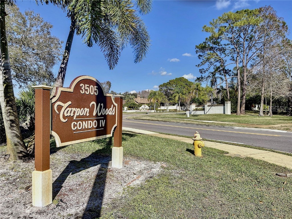 3505 Tarpon Woods Boulevard #P408 Palm Harbor FL 34685 TB8437255 image19