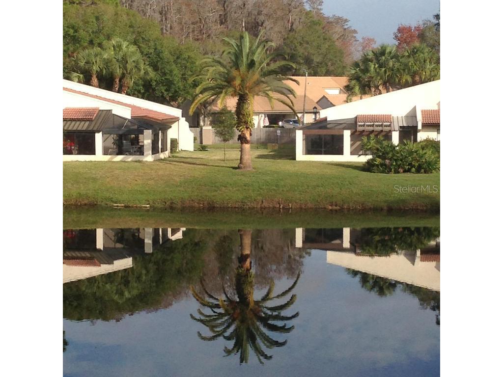 3505 Tarpon Woods Boulevard #P408 Palm Harbor FL 34685 TB8437255 image9