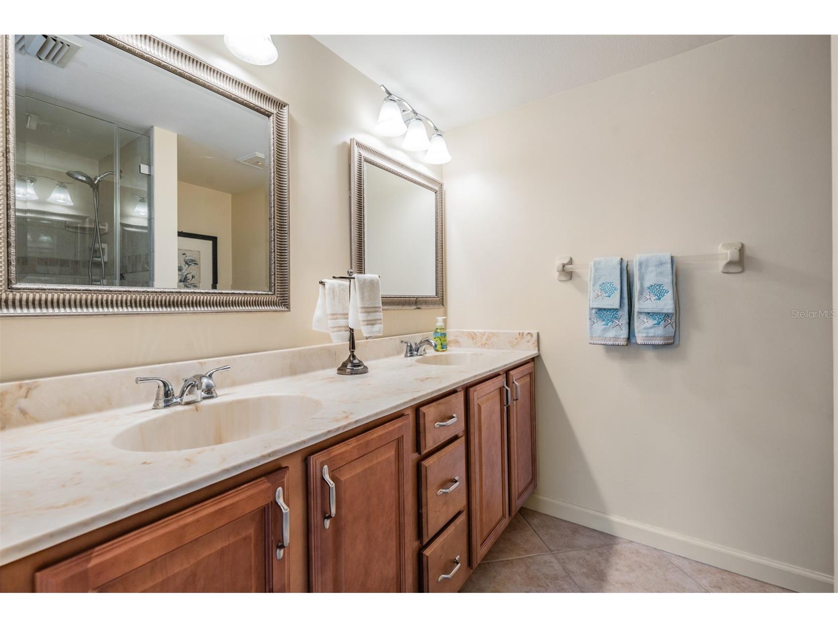 3505 Tarpon Woods Boulevard #Q402 Palm Harbor FL 34685 - POND TB8471812 image20