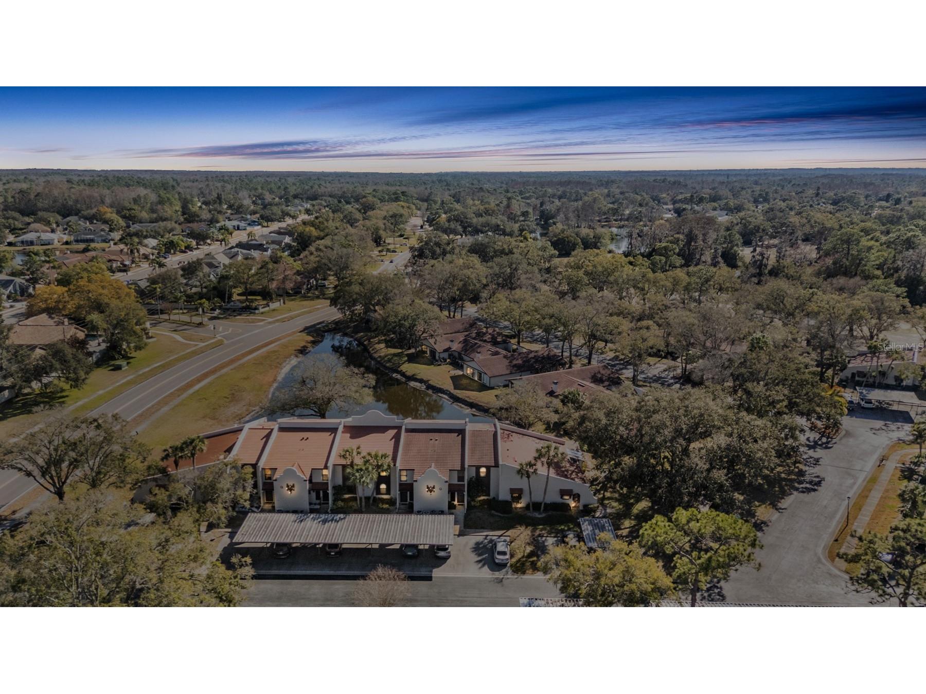 3505 Tarpon Woods Boulevard #Q402 Palm Harbor FL 34685 - POND TB8471812 image31