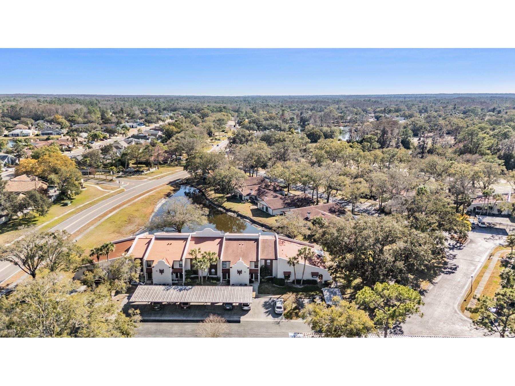 3505 Tarpon Woods Boulevard #Q402 Palm Harbor FL 34685 - POND TB8471812 image35