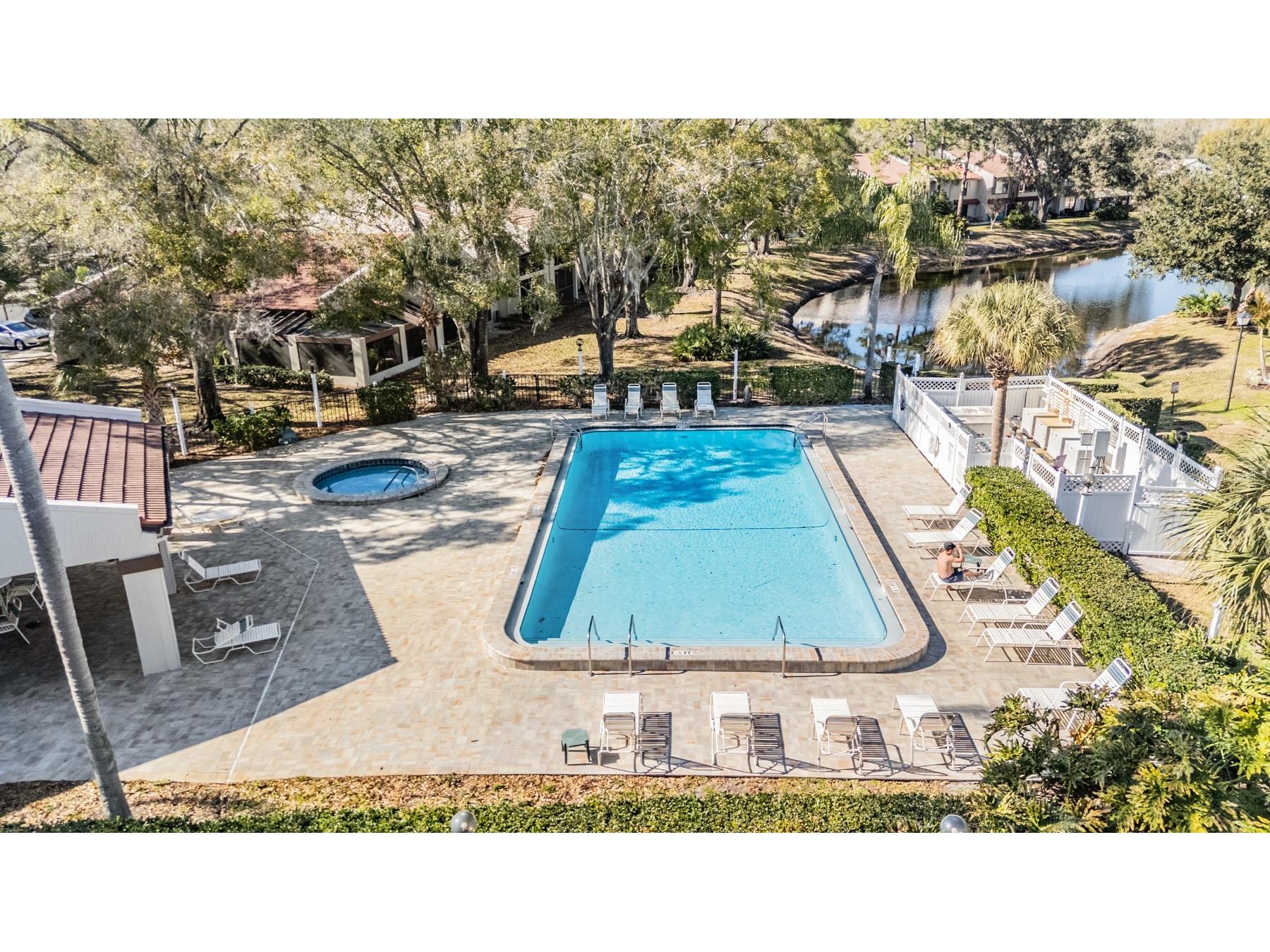 3505 Tarpon Woods Boulevard #Q402 Palm Harbor FL 34685 - POND TB8471812 image38