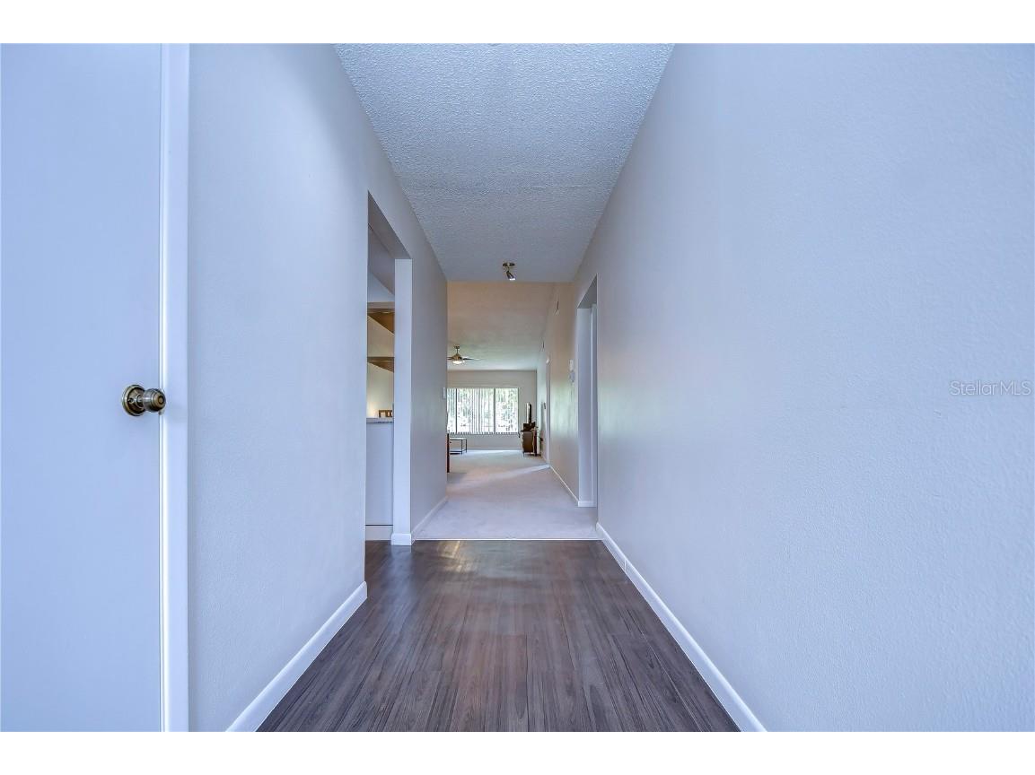 3505 Tarpon Woods Boulevard #Q409 Palm Harbor FL 34685 TB8404386 image15