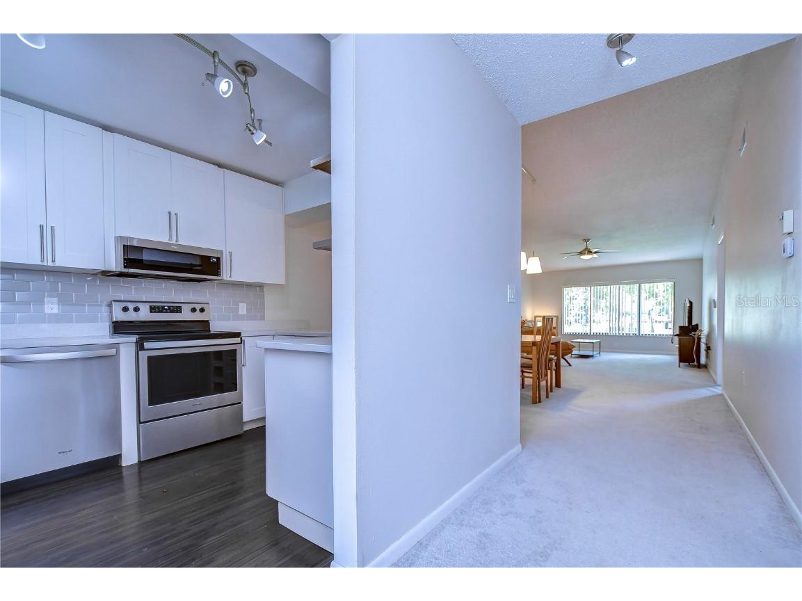 3505 Tarpon Woods Boulevard #Q409 Palm Harbor FL 34685 TB8404386 image16