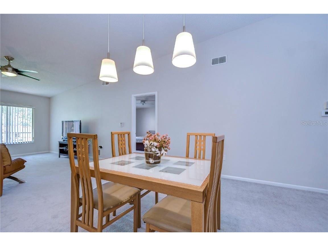 3505 Tarpon Woods Boulevard #Q409 Palm Harbor FL 34685 TB8404386 image21