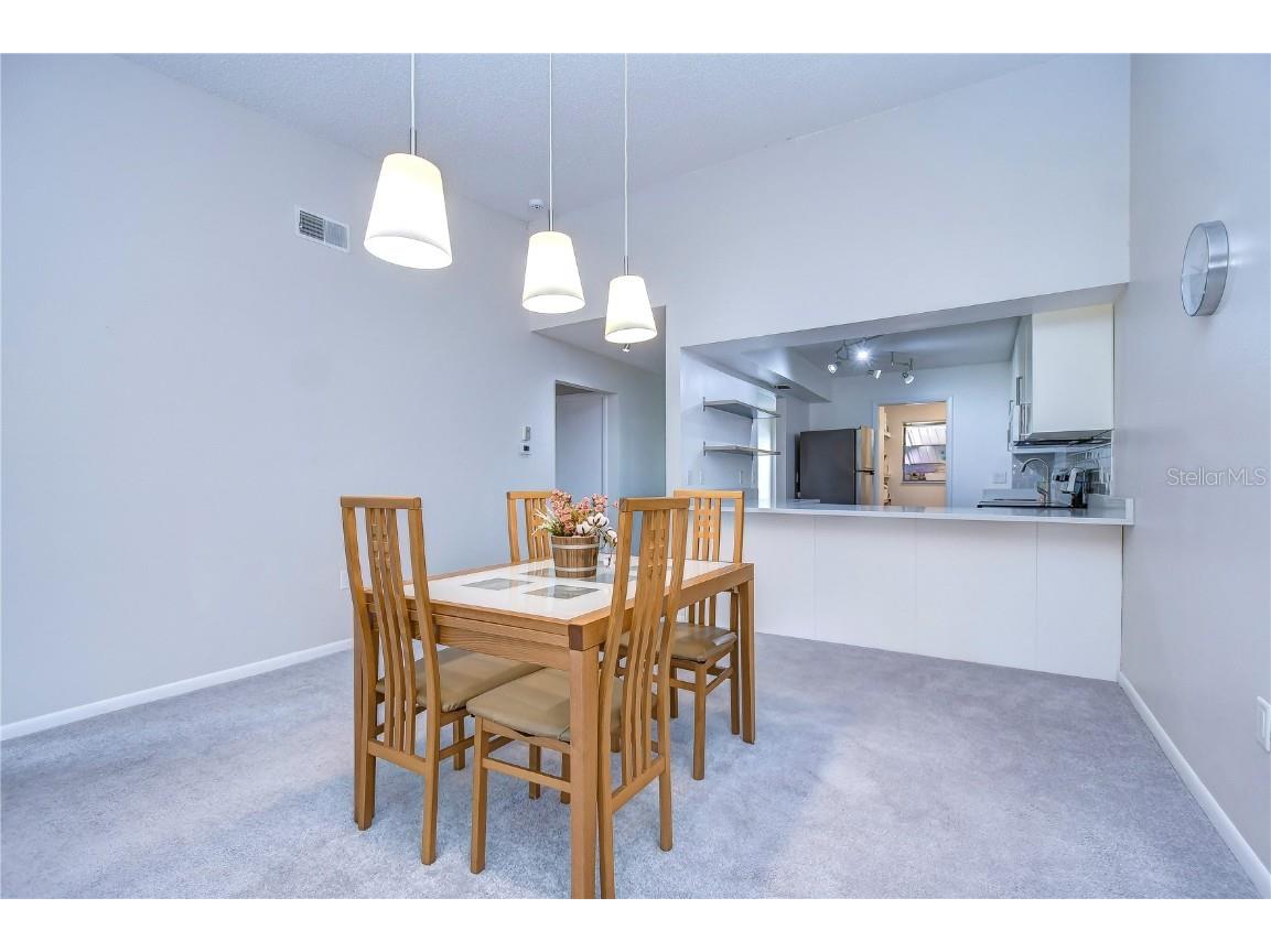 3505 Tarpon Woods Boulevard #Q409 Palm Harbor FL 34685 TB8404386 image22