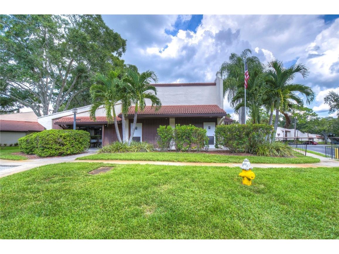 3505 Tarpon Woods Boulevard #Q409 Palm Harbor FL 34685 TB8404386 image24