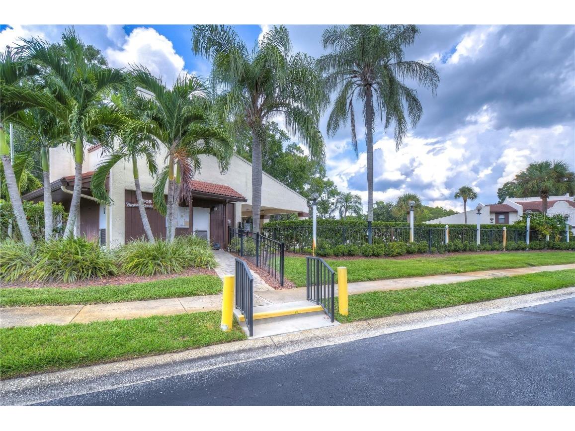 3505 Tarpon Woods Boulevard #Q409 Palm Harbor FL 34685 TB8404386 image25