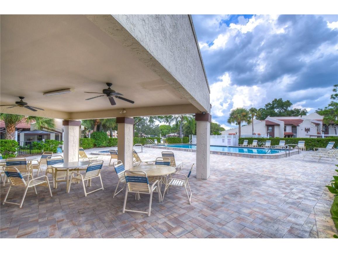 3505 Tarpon Woods Boulevard #Q409 Palm Harbor FL 34685 TB8404386 image26