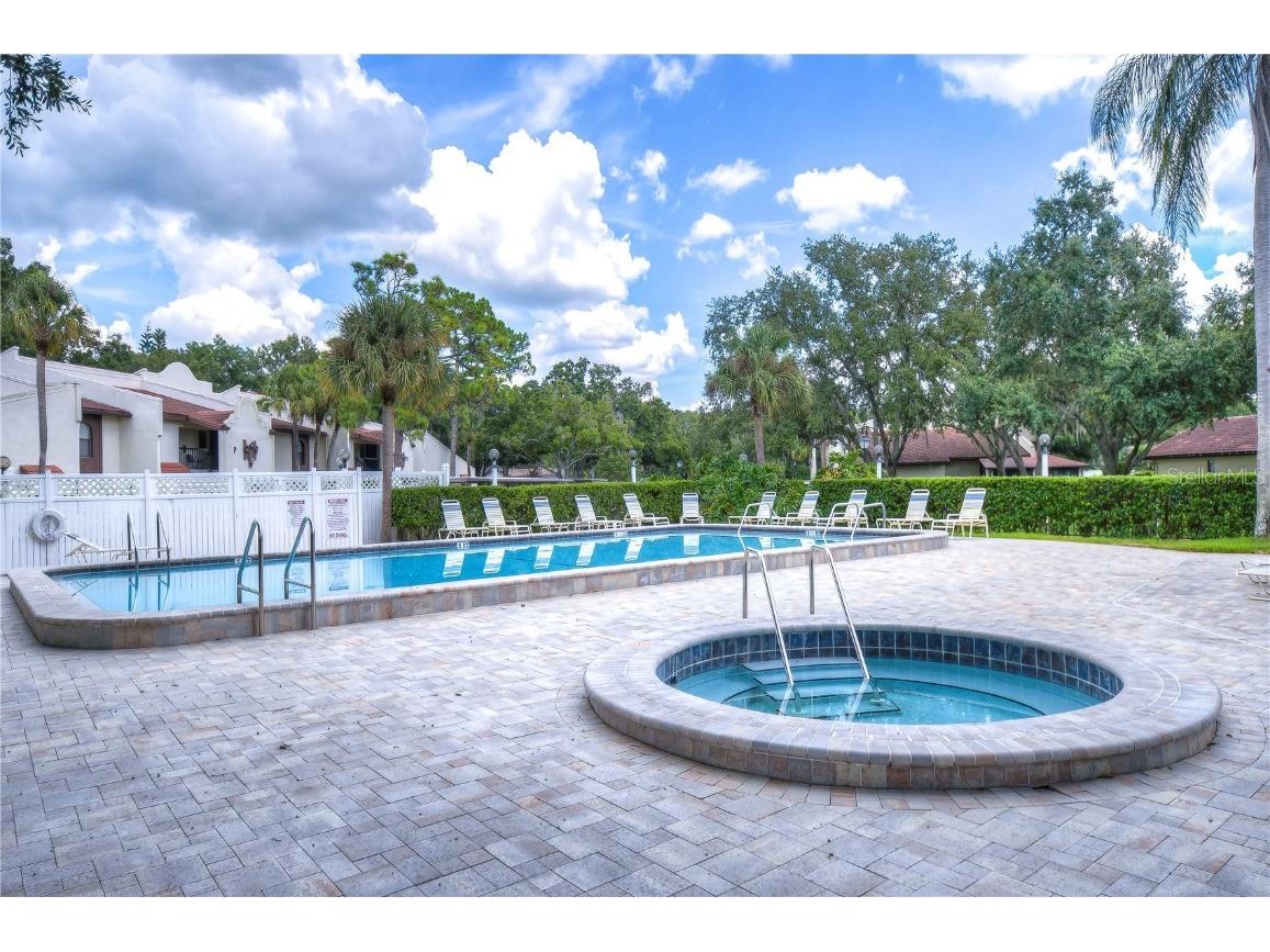 3505 Tarpon Woods Boulevard #Q409 Palm Harbor FL 34685 TB8404386 image28