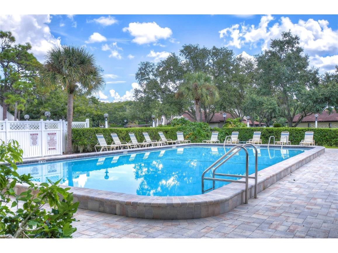 3505 Tarpon Woods Boulevard #Q409 Palm Harbor FL 34685 TB8404386 image29