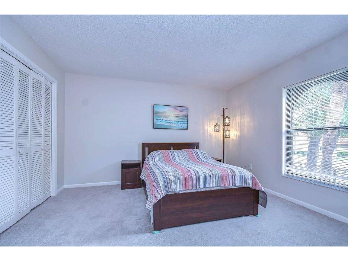 3505 Tarpon Woods Boulevard #Q409 Palm Harbor FL 34685 TB8404386 image6