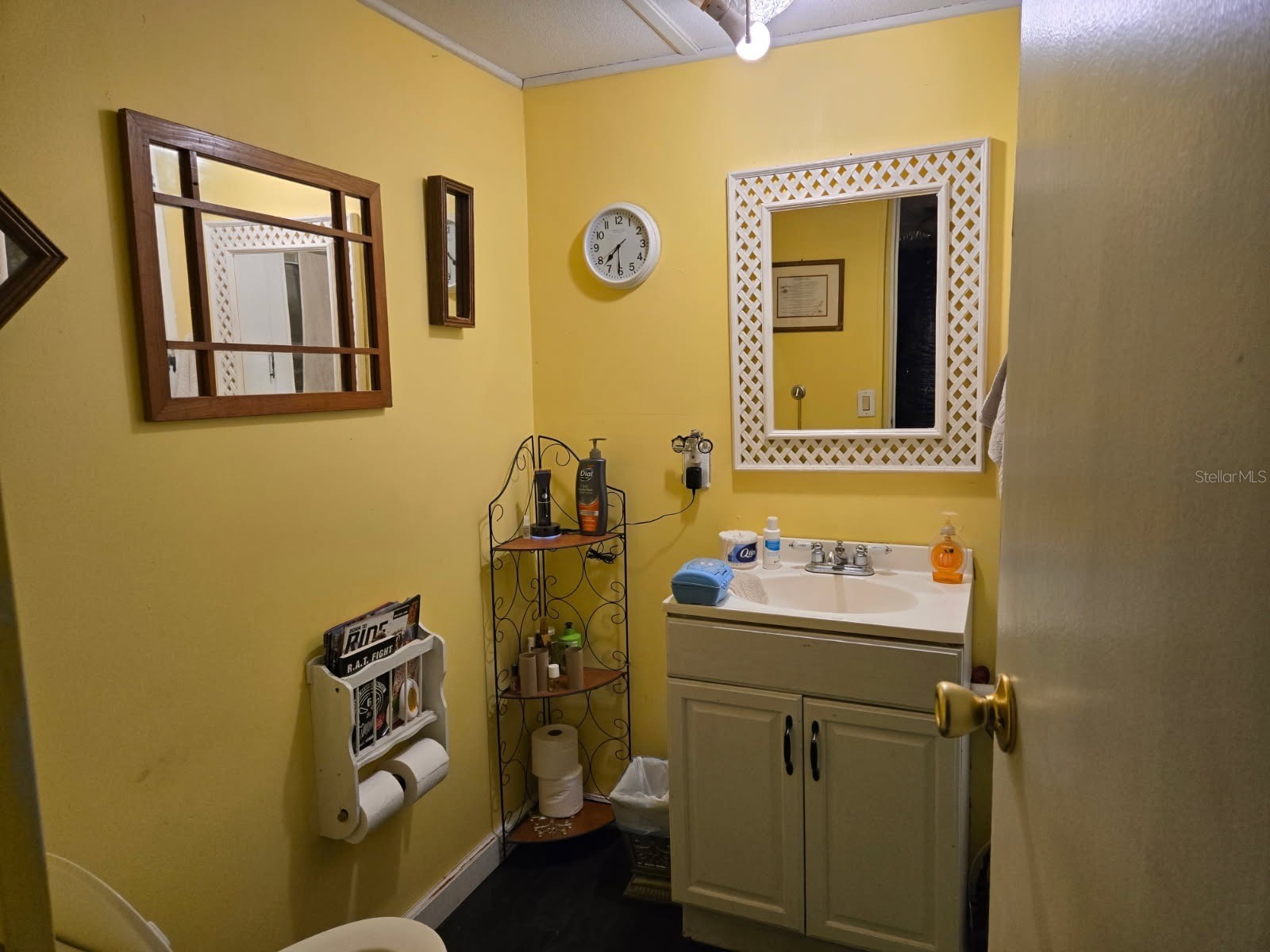35050 Sateen Dr Zephyrhills FL 33541 TB8500392 image15