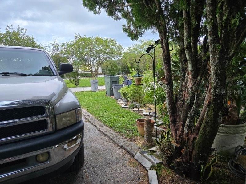 35050 Sateen Dr Zephyrhills FL 33541 TB8500392 image9