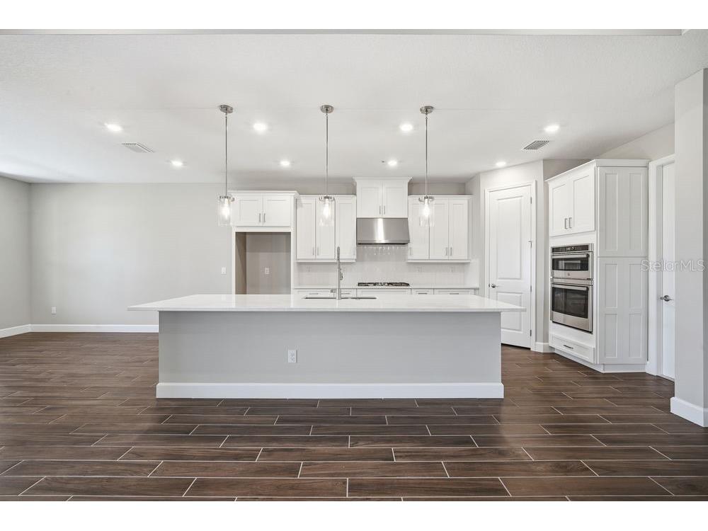 35056 Emberview Drive Zephyrhills FL 33541 TB8457119 image2