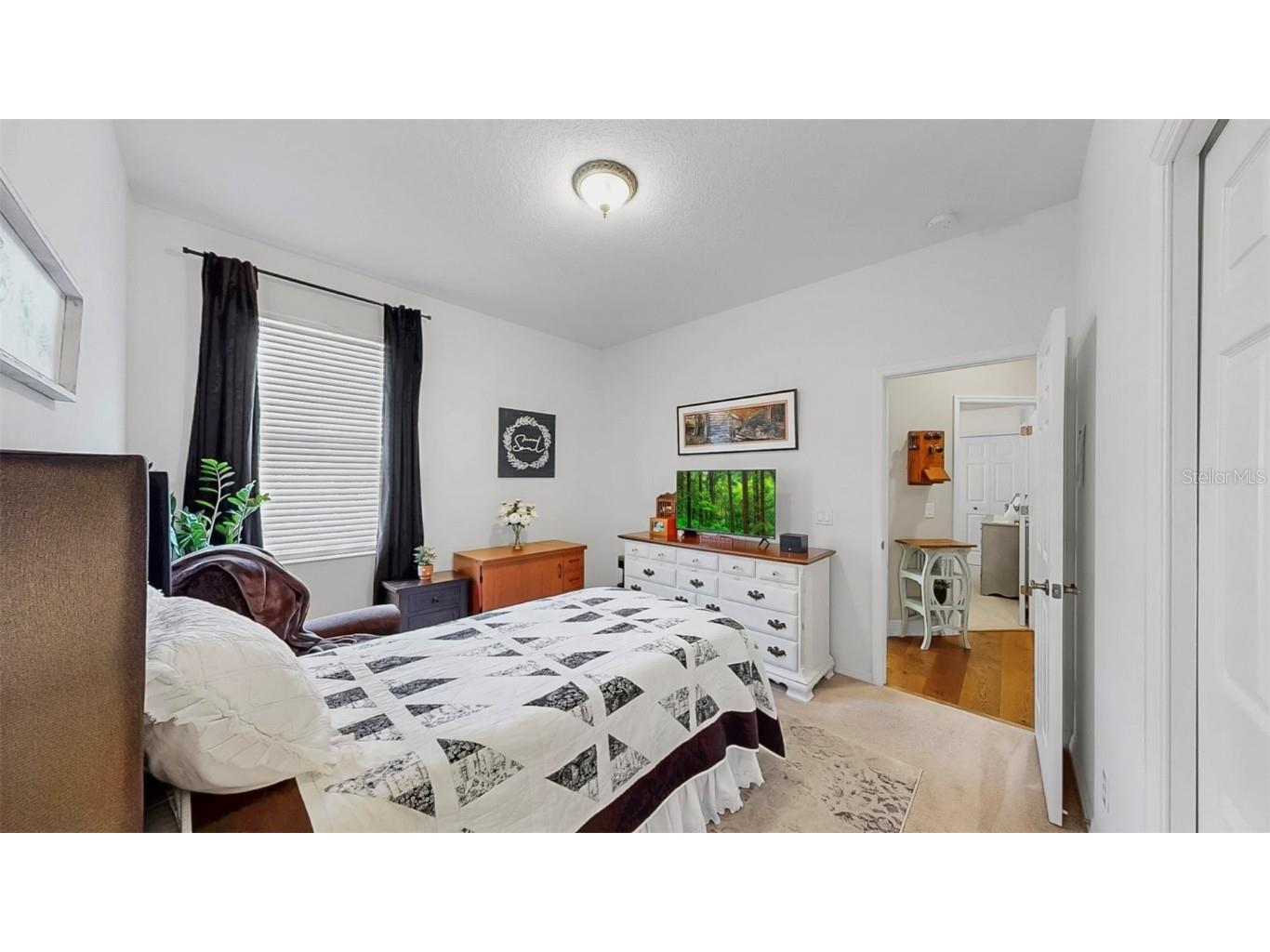 3506 Cordgrass Drive Valrico FL 33596 TB8439676 image32