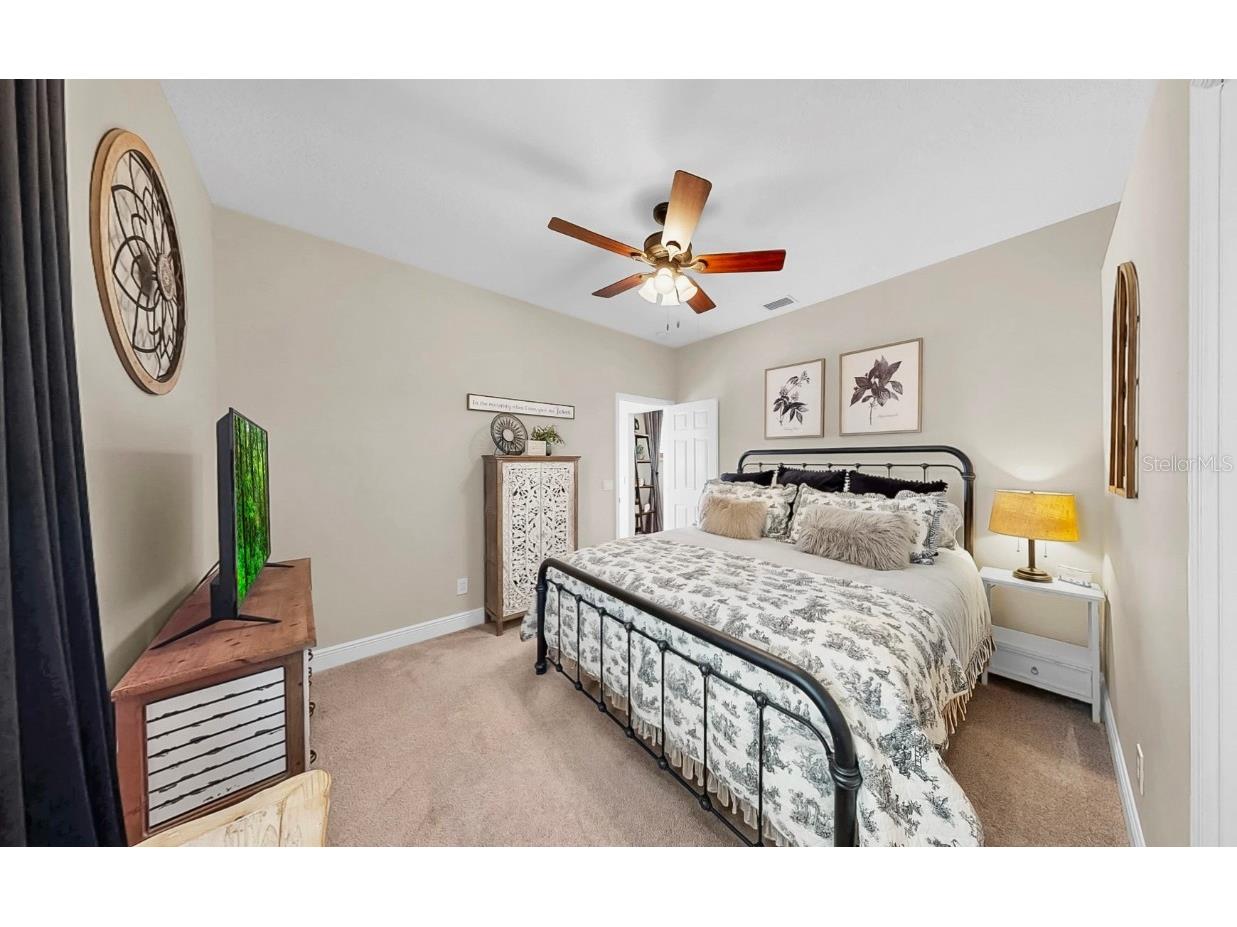 3506 Cordgrass Drive Valrico FL 33596 TB8439676 image35