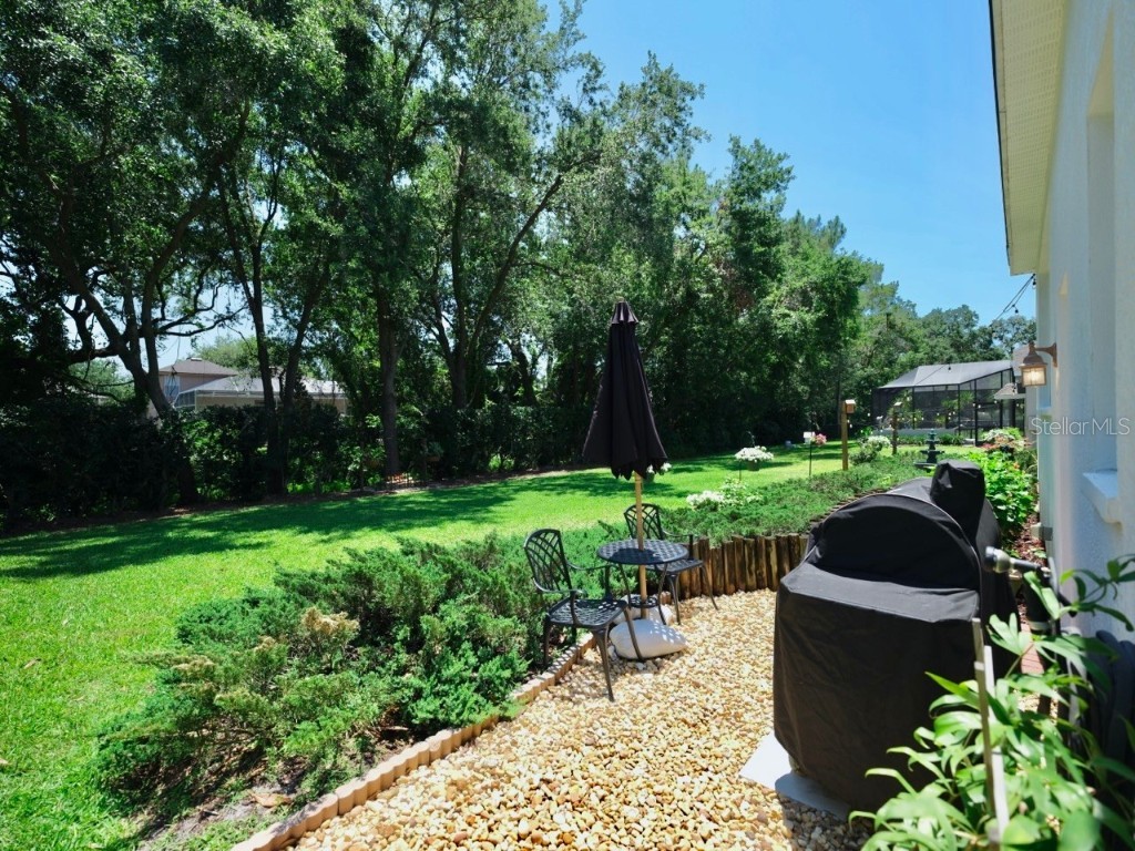 3506 Cordgrass Drive Valrico FL 33596 TB8439676 image66