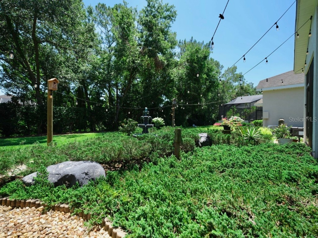 3506 Cordgrass Drive Valrico FL 33596 TB8439676 image67