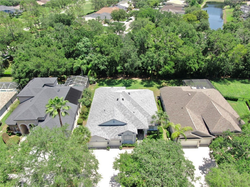 3506 Cordgrass Drive Valrico FL 33596 TB8439676 image72