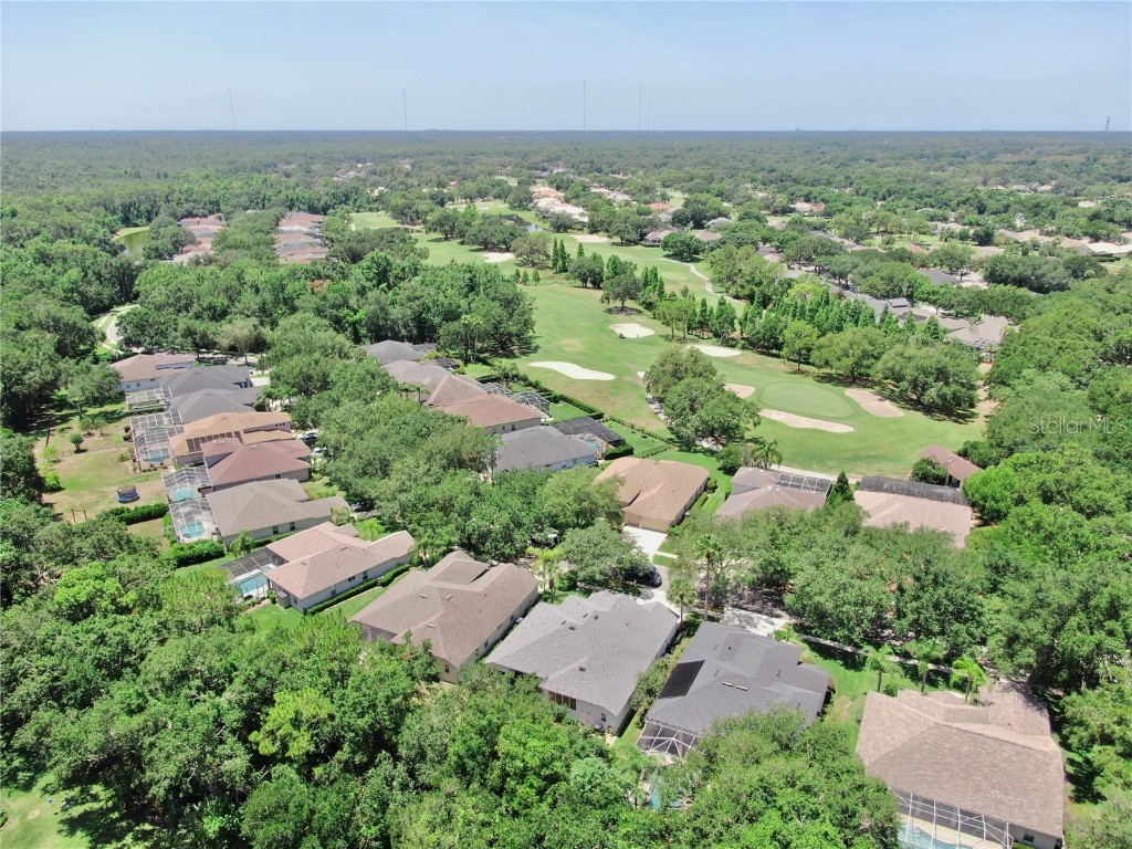 3506 Cordgrass Drive Valrico FL 33596 TB8439676 image73