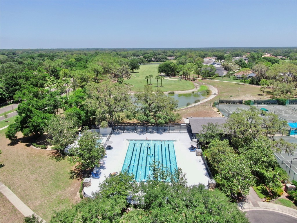 3506 Cordgrass Drive Valrico FL 33596 TB8439676 image74