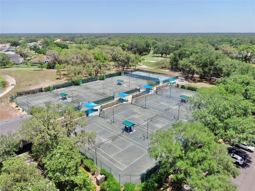 3506 Cordgrass Drive Valrico FL 33596 TB8439676 image75