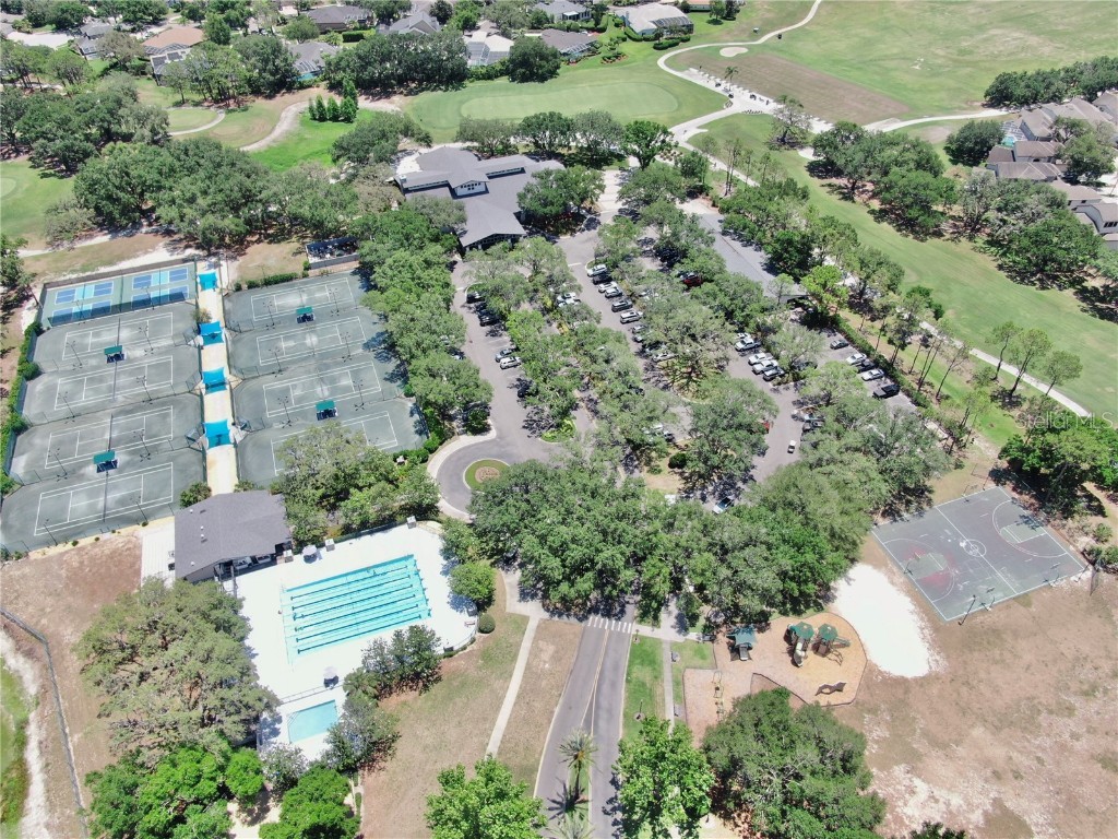 3506 Cordgrass Drive Valrico FL 33596 TB8439676 image76