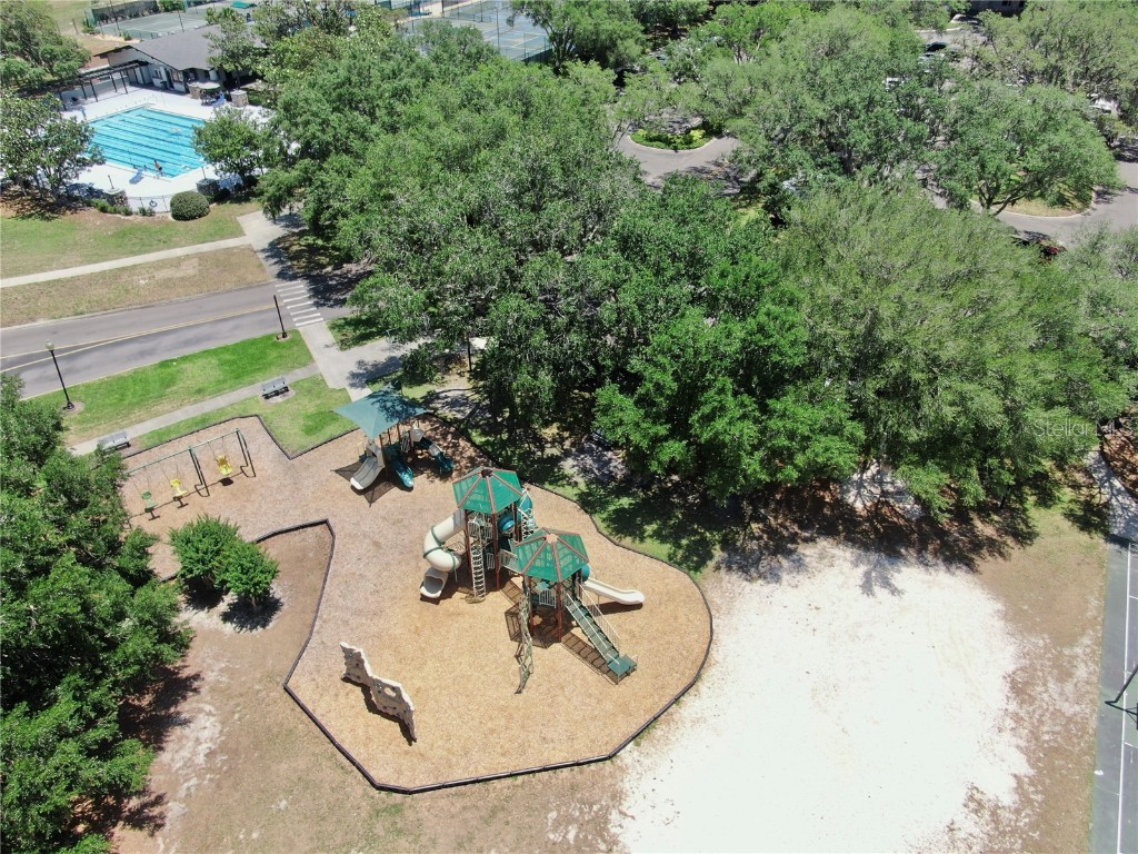 3506 Cordgrass Drive Valrico FL 33596 TB8439676 image77