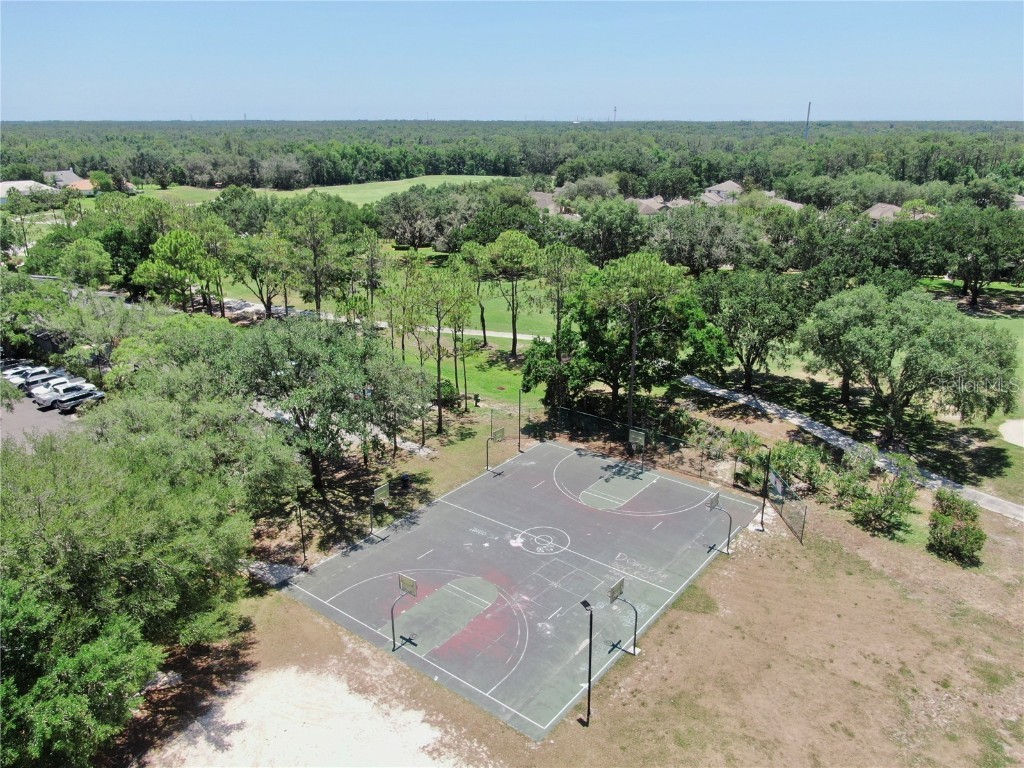 3506 Cordgrass Drive Valrico FL 33596 TB8439676 image78