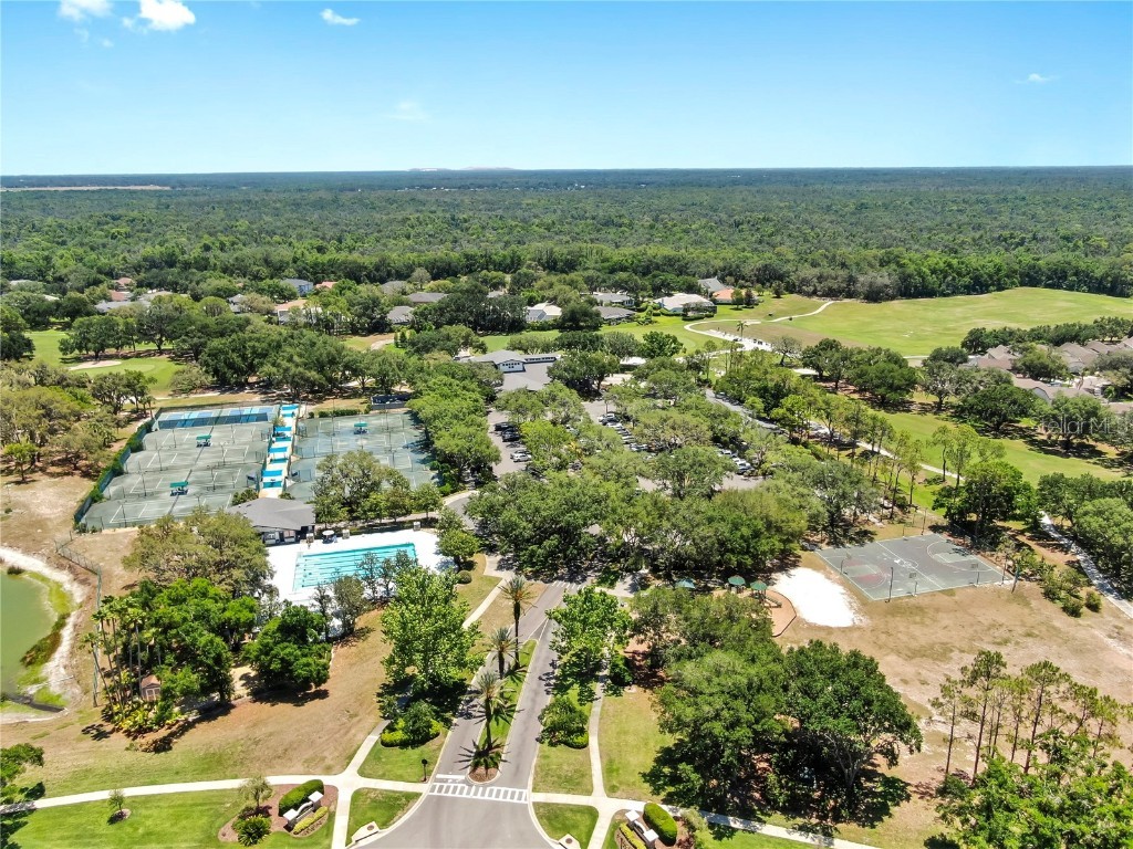 3506 Cordgrass Drive Valrico FL 33596 TB8439676 image79