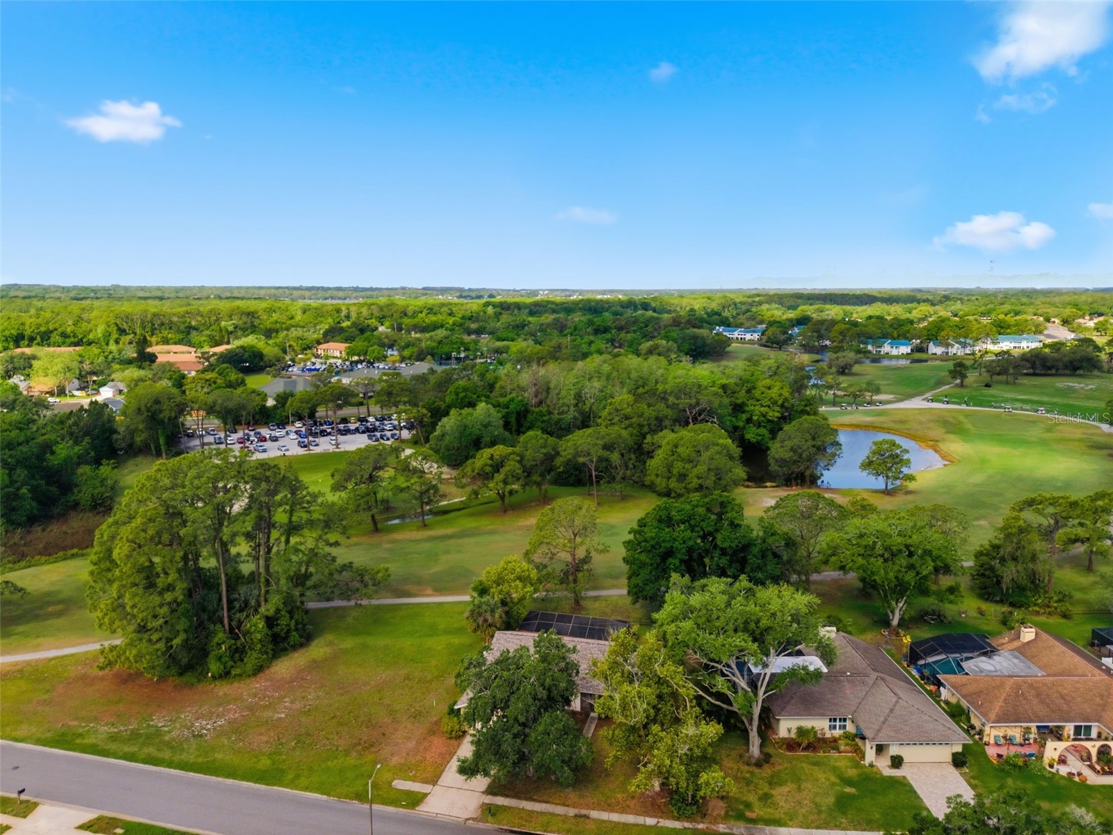 3506 Fairway Forest Drive Palm Harbor FL 34685 TB8491356 image3