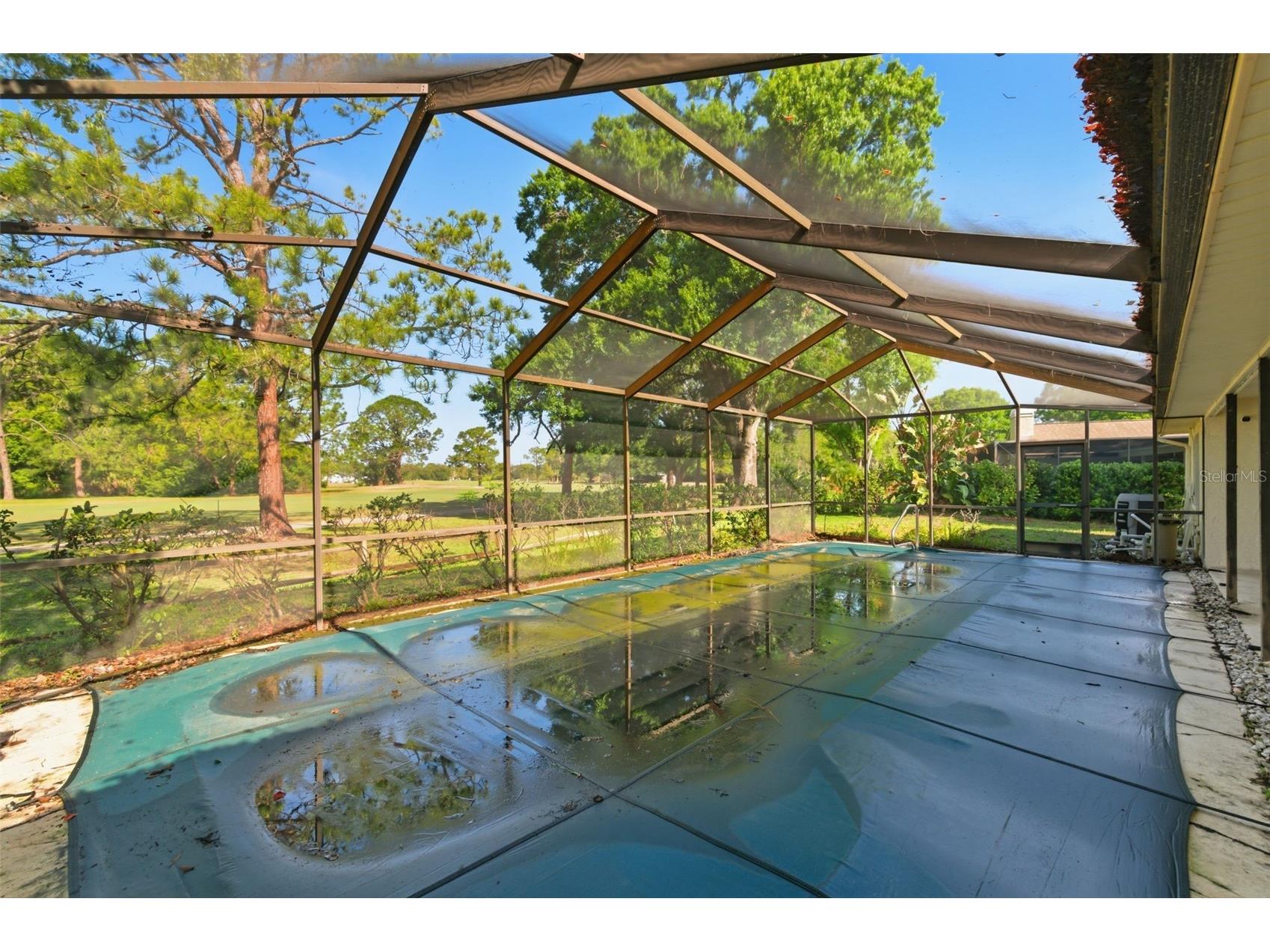 3506 Fairway Forest Drive Palm Harbor FL 34685 TB8491356 image30