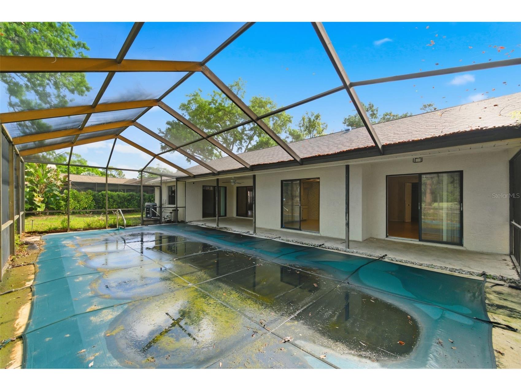 3506 Fairway Forest Drive Palm Harbor FL 34685 TB8491356 image31