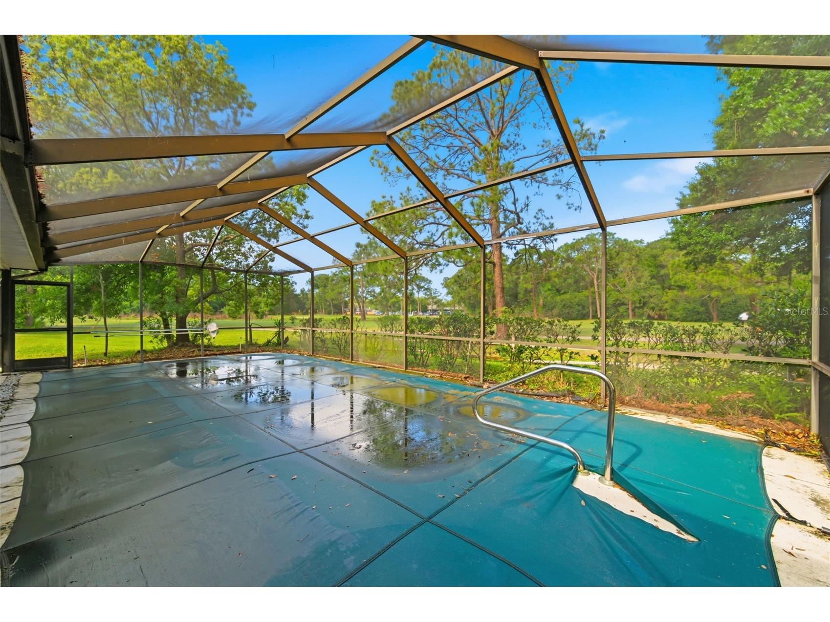 3506 Fairway Forest Drive Palm Harbor FL 34685 TB8491356 image32