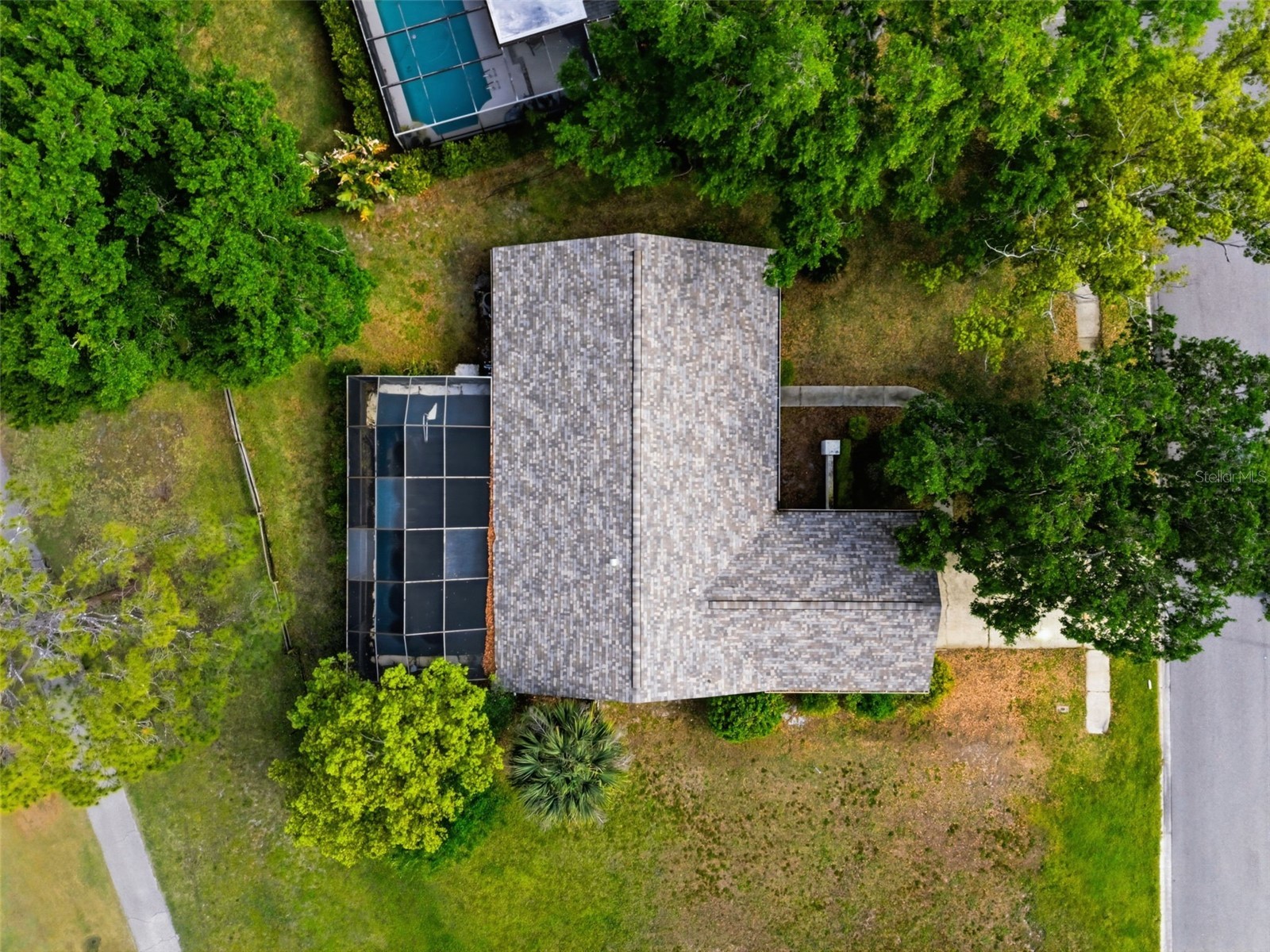 3506 Fairway Forest Drive Palm Harbor FL 34685 TB8491356 image34