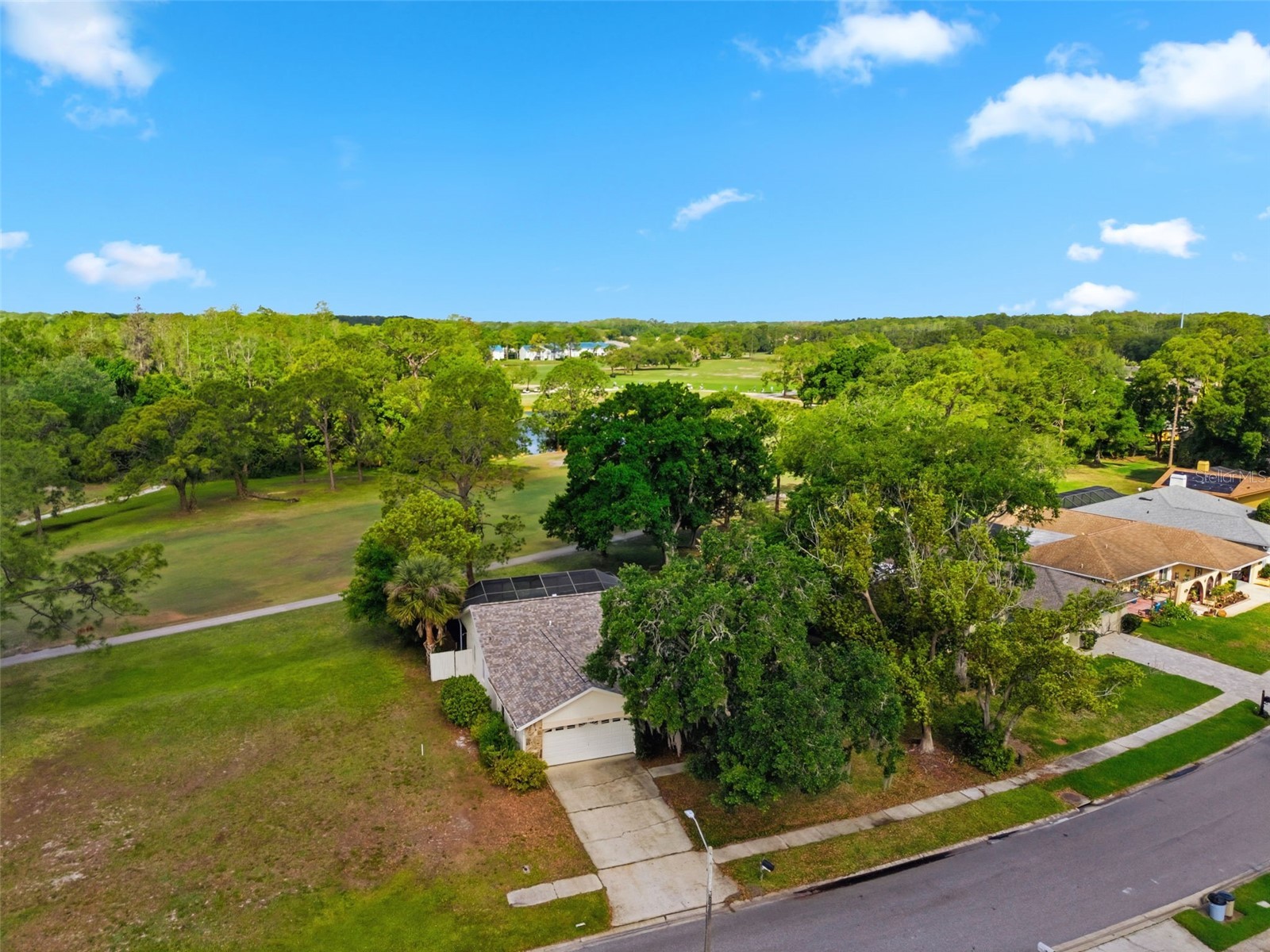 3506 Fairway Forest Drive Palm Harbor FL 34685 TB8491356 image35