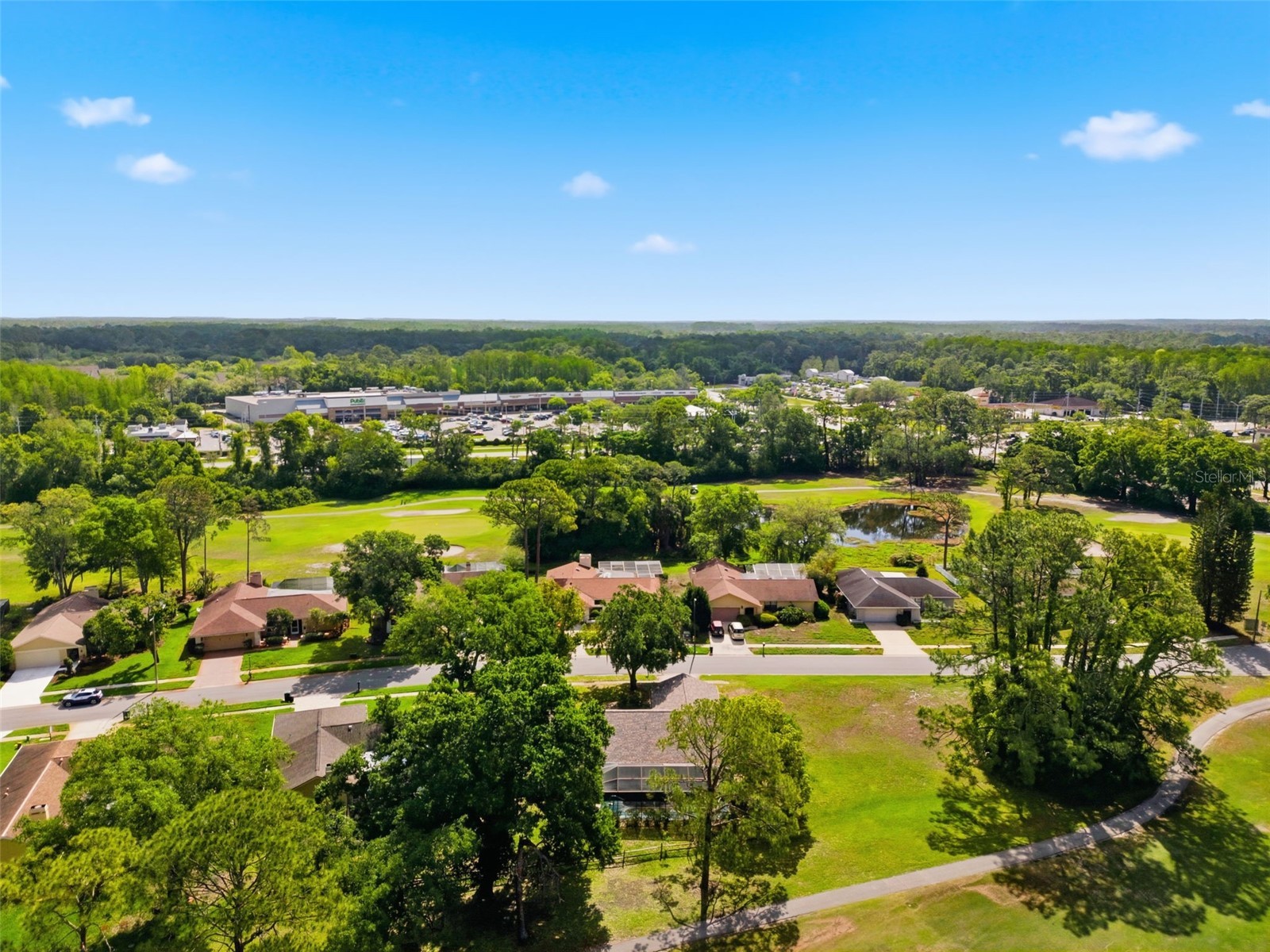 3506 Fairway Forest Drive Palm Harbor FL 34685 TB8491356 image38