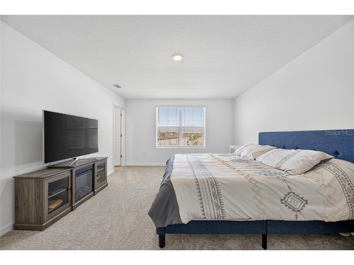 3506 Forest Path Drive Plant City FL 33565 TB8445335 image26